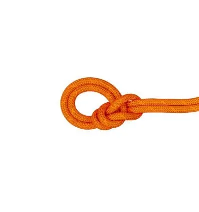 Cuerda Mammut 9.8 Crag Dry Rope Mammut Dry Standard (Safety Orange Boa)