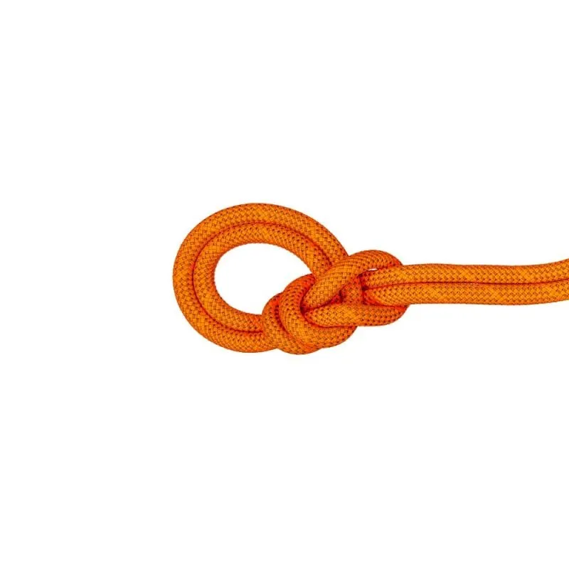 Cuerda Mammut 9.8 Crag Dry Rope Mammut Dry Standard (Safety Orange Boa)